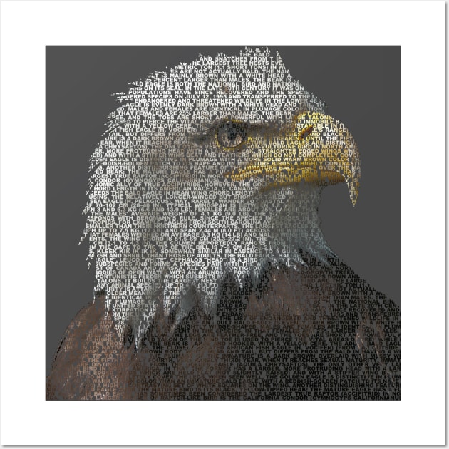 Bald Eagle Info Graphic Wall Art by shellysom91